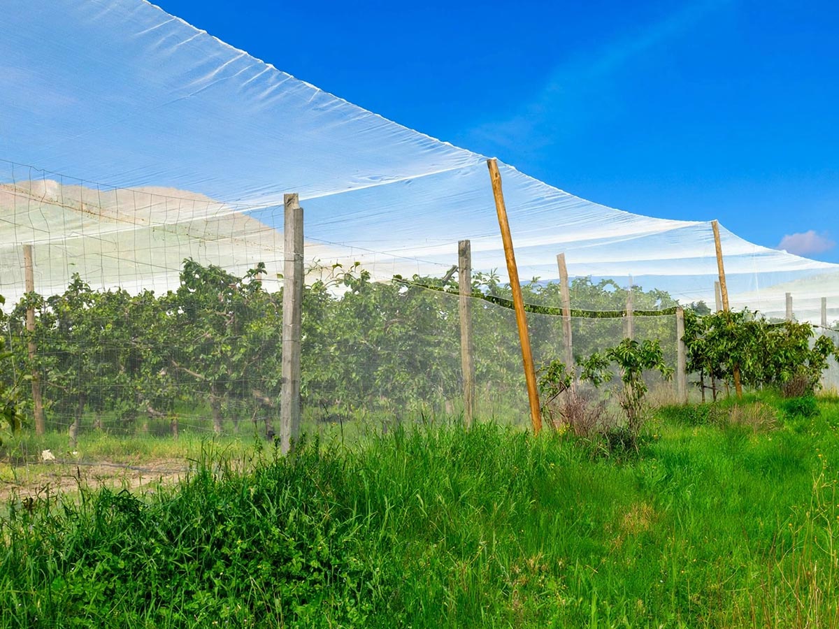 General Nets